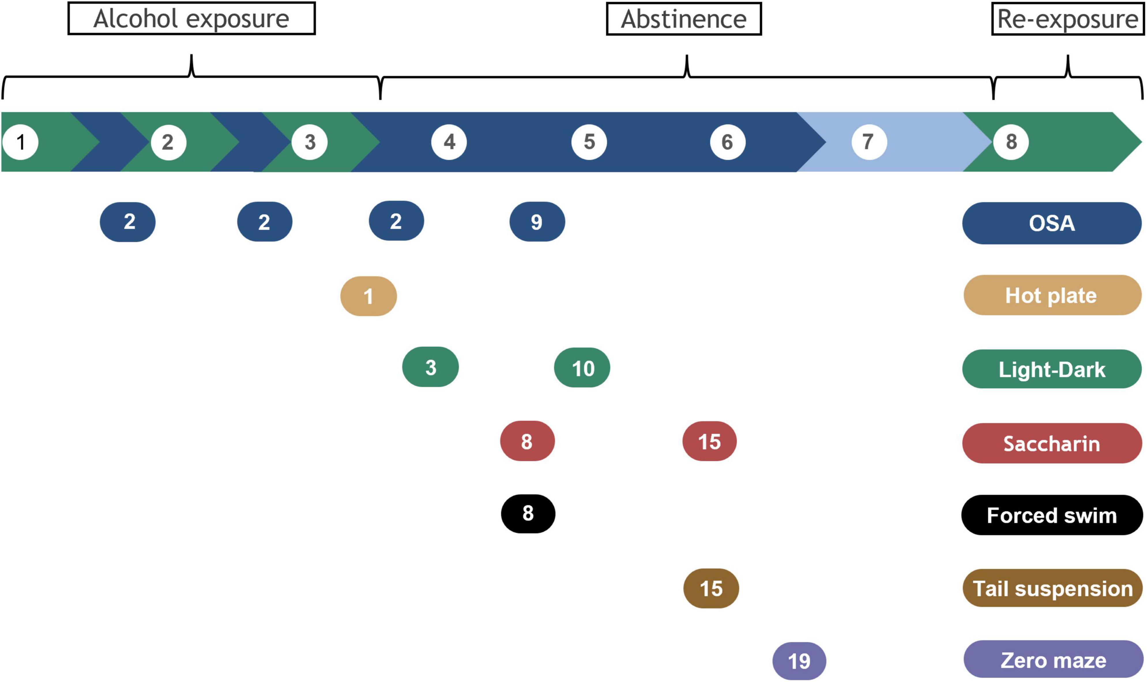 Behavioral and biochemical effects of alcohol withdrawal in female C3H/HeNRj and C57BL/6JRj mice